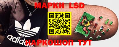 бошки Тара