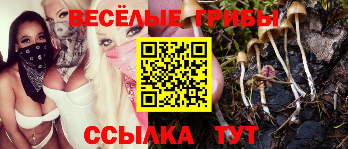 Галлюциногенные грибы MAGIC MUSHROOMS  Галлюциногенные грибы Magic Shrooms  как найти   Нефтекумск  Вход с VPN 